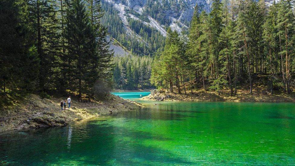Apartments Am Kirchkogel "Laendliche Entspannung Im Herzen Der Steiermark" Pernegg an der Mur Phòng bức ảnh
