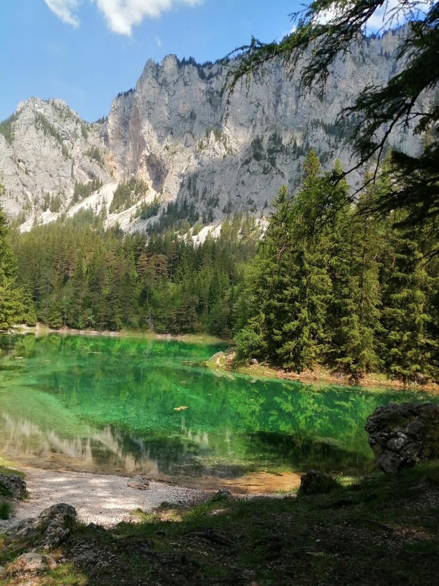 Apartments Am Kirchkogel "Laendliche Entspannung Im Herzen Der Steiermark" Pernegg an der Mur Phòng bức ảnh